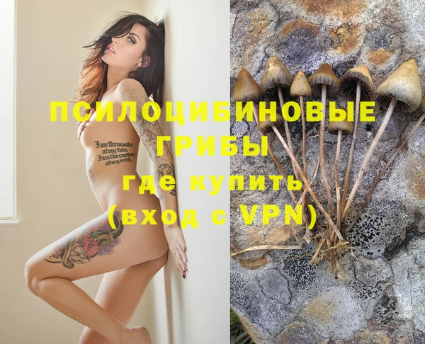 винт Армянск