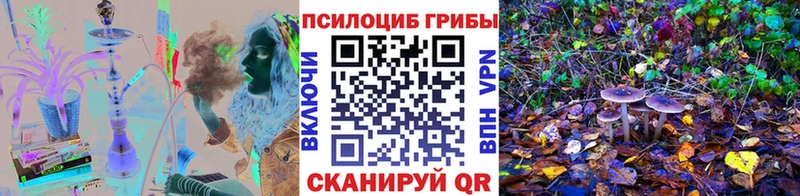 даркнет сайт  Курган  Псилоцибиновые грибы Magic Shrooms 