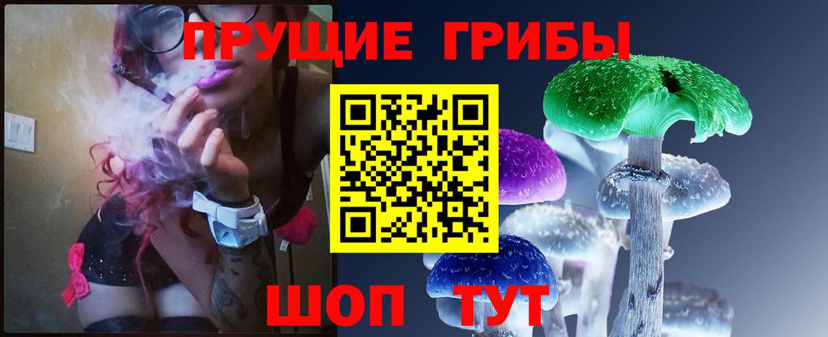 Галлюциногенные грибы Psilocybe Курган