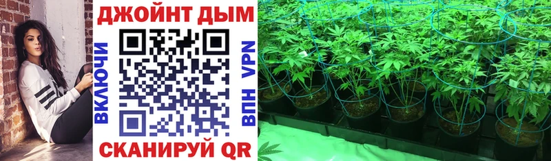 blacksprut как войти Курган Марихуана тримм